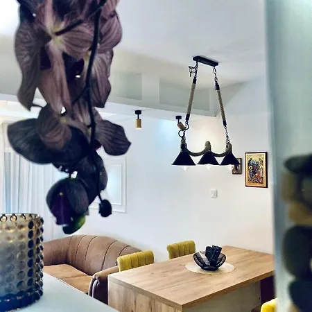 Zivanovic Apartament *
