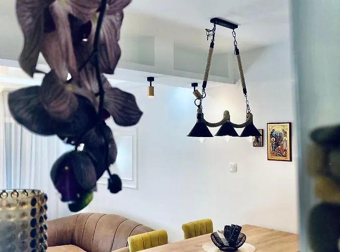 Zivanovic דירה *