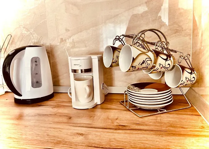 Zivanovic דירה *