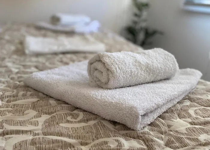 Zivanovic * ואליג'בו